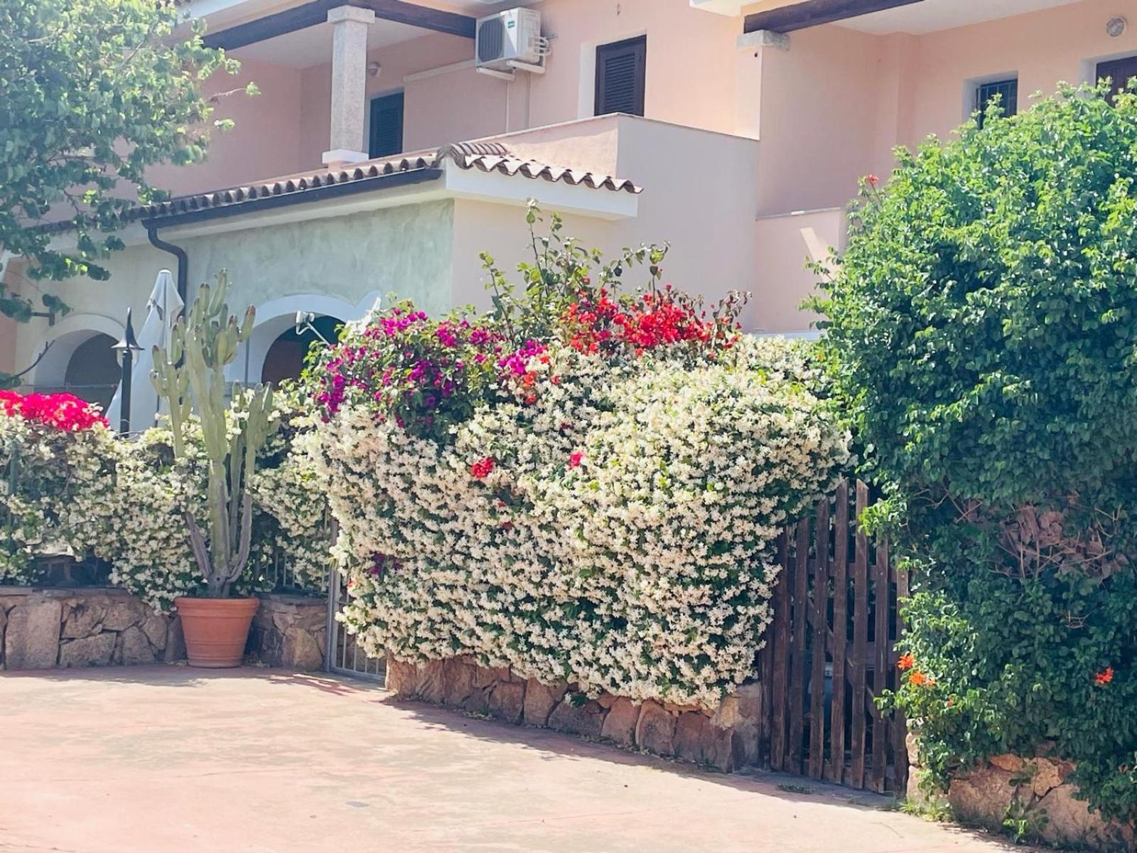 Appartamento Le Querce Vaccileddi Bagian luar foto